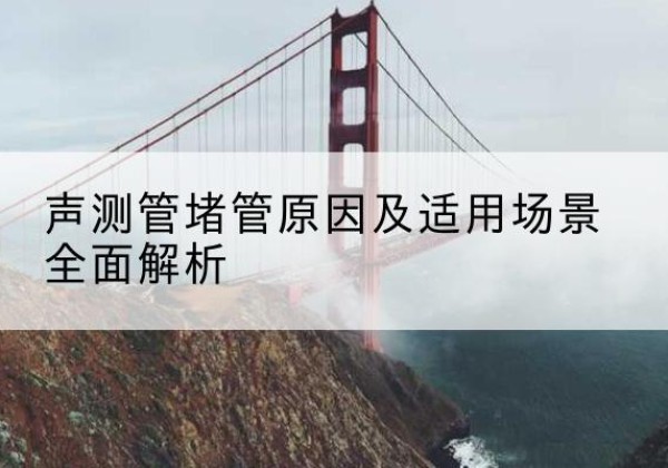 乐业声测管堵管的主要原因有哪些？-声测管堵管原因及适用场景全面解析